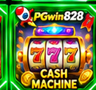 Dolphin Treasure สล็อต